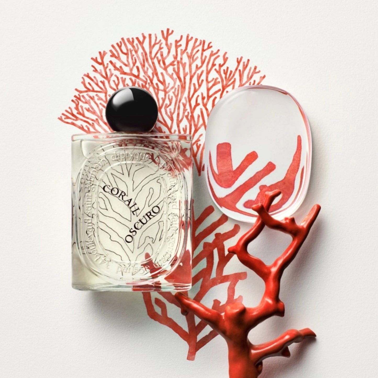 Corail Oscuro