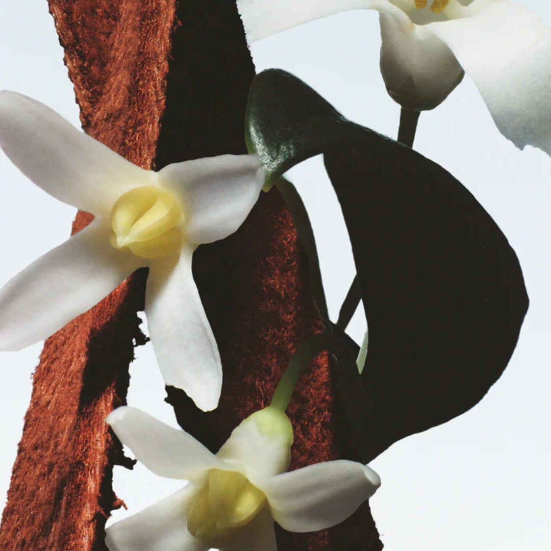 Fleur du Mal
