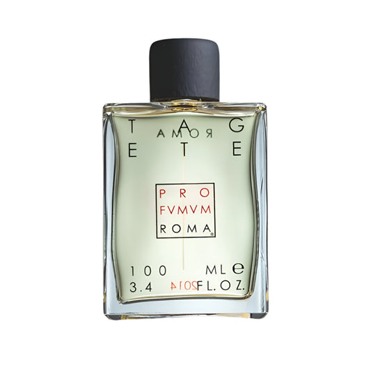 عطر إتشيلسو بارفان