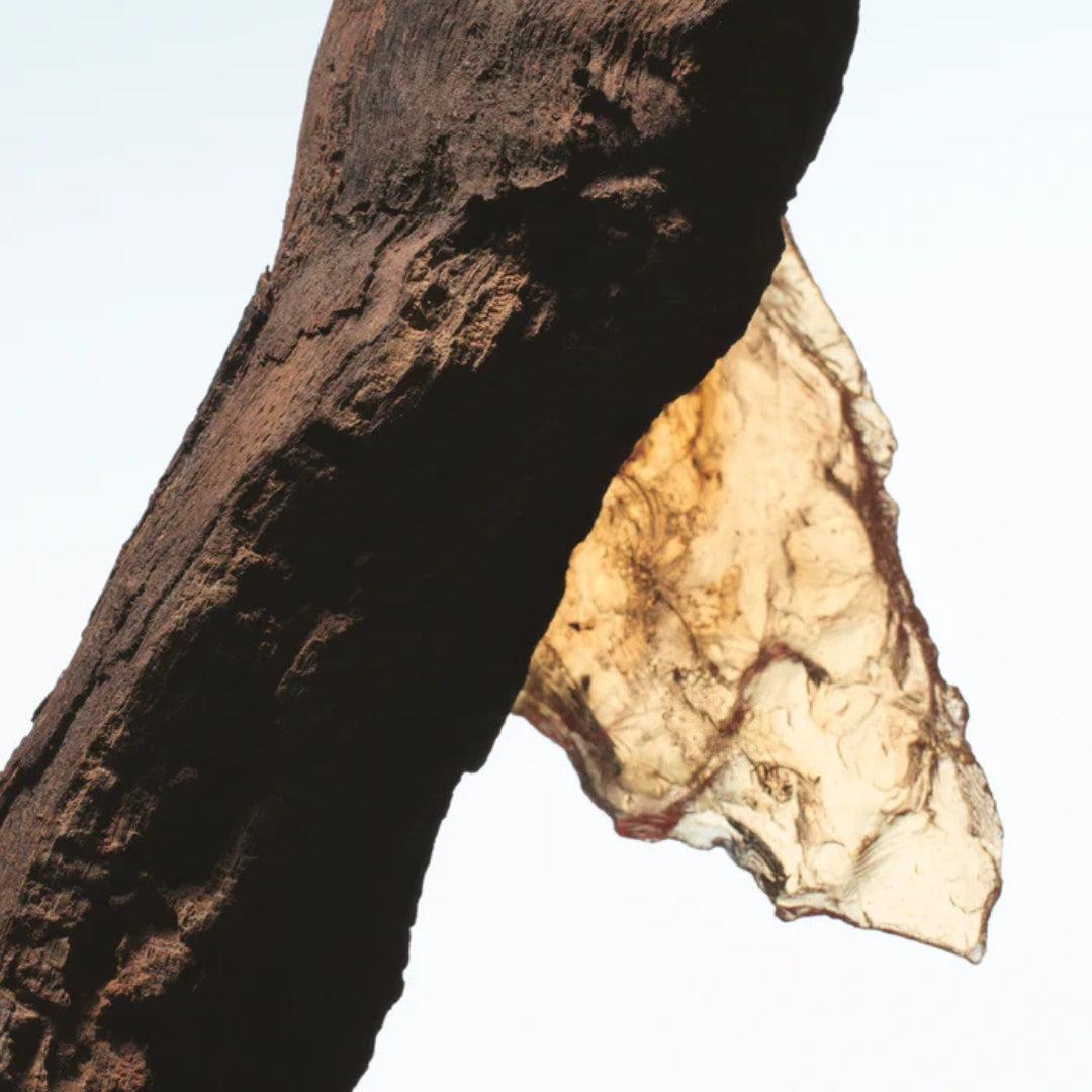 Rock the Myrrh
